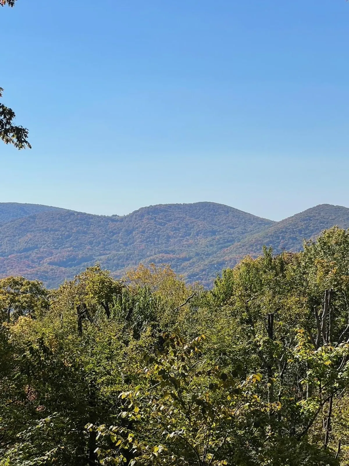 A sweeping view of a mountain range framed by vibrant fall foliage and dense greenery, inviting thoughts of hiking, picnicking, and outdoor exploration. The tranquil setting suggests miles of natural trails for both humans and their dogs to enjoy together.